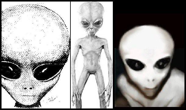 Aliens, ⁢Hoaxes or Natural Phenomena: Theories Abound But Answers are Thin