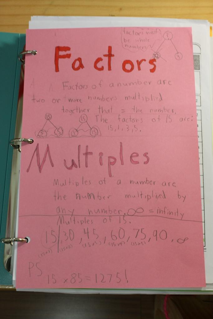 - Understanding the Factors Contributing to the Measles Outbreak