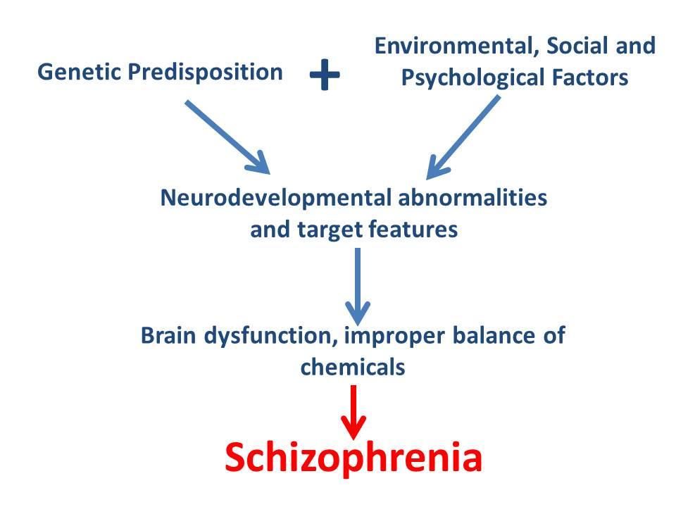 Psychological Factors Playing a Key‌ Role