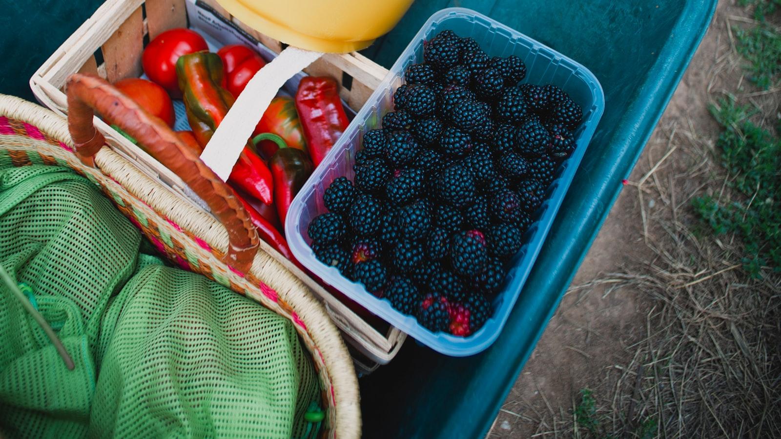 Harvesting and Storing Pond Plants