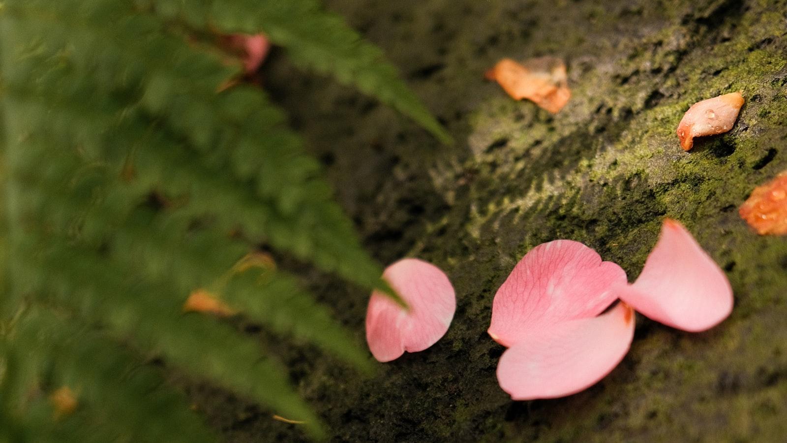 Choosing the Best Pond Plants to Eat