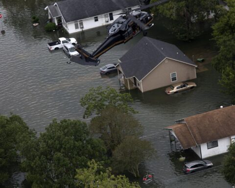 Flooding Wetlands Could Be the Next Big Carbon Capture Hack