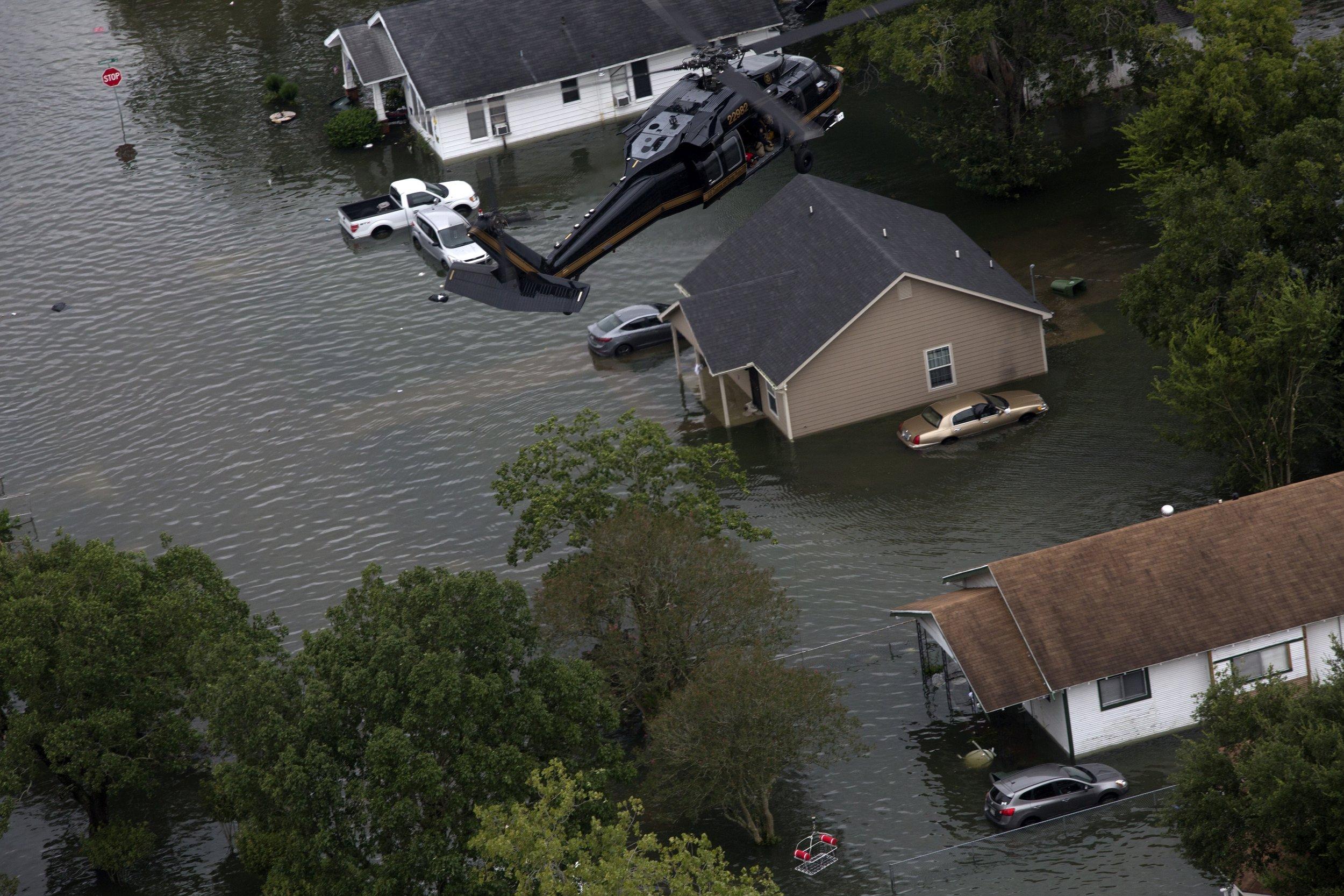 Flooding Wetlands Could Be the Next Big Carbon Capture Hack