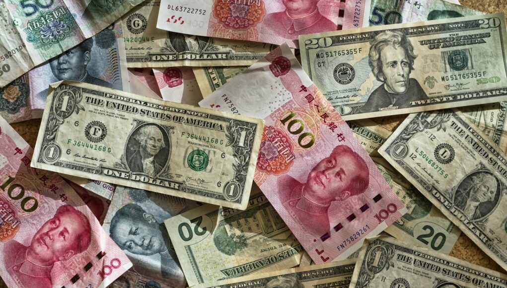 assorted banknotes